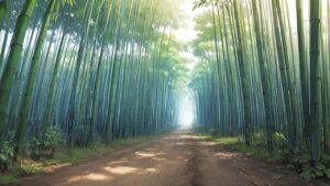 竹林/竹/自然/イラスト素材