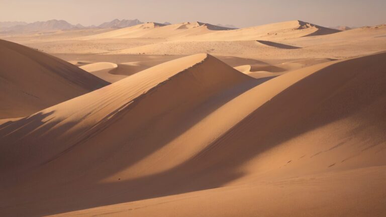 砂漠/自然/イラスト素材