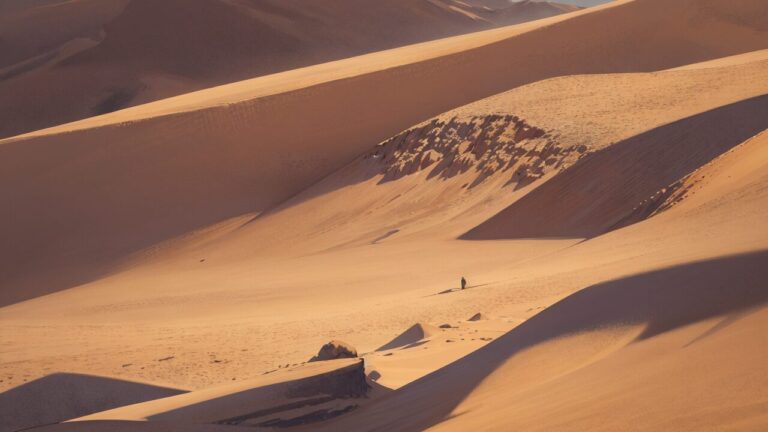 砂漠/広い砂漠/異国の地/イラスト素材